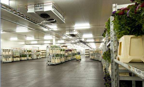 寧波建冷庫(kù)多少錢(qián)一立方？每立方能存多少貨物